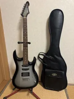 2026年最新】アリアプロ ギターケースの人気アイテム - メルカリ