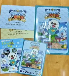 ポケモン ミジュマル 探検隊！ みえ応援ポケモン クリアファイル セット 非売品
