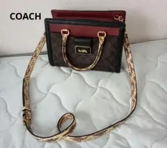 Coach ショルダーバッグ 　ハンドバッグお洒落なレオパードのサムネイル