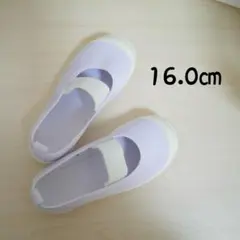 上履き 16.0cm