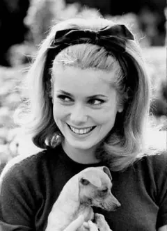 Item thumbnail for item e006f46d-5451-4b0d-b3fe-0d535ba25626