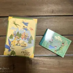 ★Disney ピーターパン　メモパッド　2個まとめ売り
