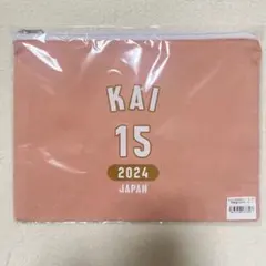 甲斐優斗 バレーボール 男子日本代表 カレッジテイスト ポーチ 甲斐 選手