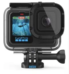 Item thumbnail for item 9fa21f9e-a25a-4eaa-bade-1cc525c5f0db