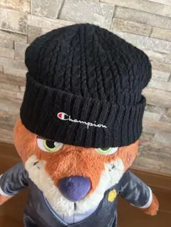championニット帽