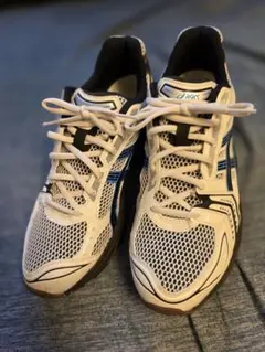 【美品】ASICS GEL-KAYANO 14 29cm