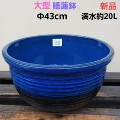 新品 特大 ∅51 陶器 睡蓮鉢 メダカ鉢 難有 ヒスイグリーン 青＆緑 LLB