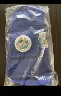 ディズニーバケーションパッケージクッションシート付バッグ未開封