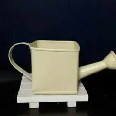 ayumi様専用多肉植物