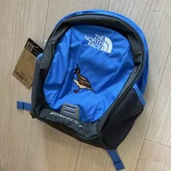 【新品】THE NORTH FACE NMJ72361 リュック