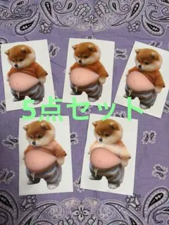 5個セット　柴犬 お腹ぷにぷにシール 3Dシールステッカ　雑貨　シール帳