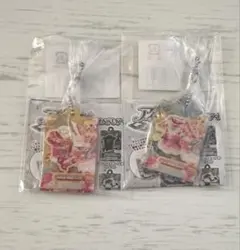 アイカツ だれでもアイドル活動アクリルチャーム 星宮いちご セット