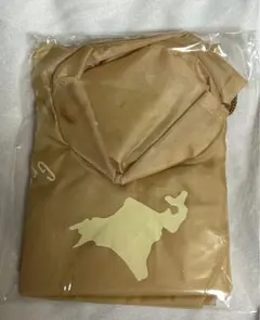 Item thumbnail for item af8ebdb5-b3e3-4fa7-bea6-0642f733ae2e