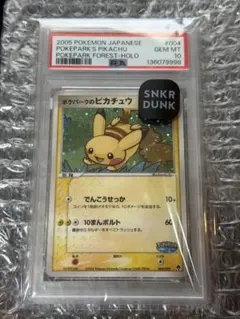 2026年最新】ポケパーク ピカチュウ psa10の人気アイテム - メルカリ