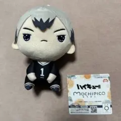 ハイキュー！！　もちぴこぬいぐるみ ⑩ 北信介