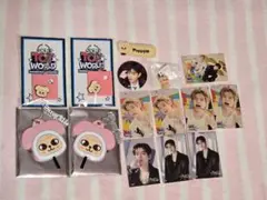 stray kids スキズ スンミン パピーム グッズ まとめ売り