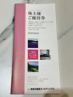 東急不動産ホールディングス　株主優待券1000株以上
