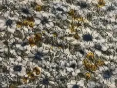 Item thumbnail for item 29f97279-fa60-4588-b196-c1f411deb70a