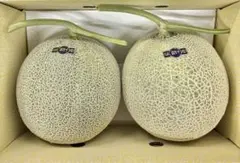 高知産 温室マスクメロン 秀品 4.5kg 2玉 北海道沖縄発送不可 - メルカリ