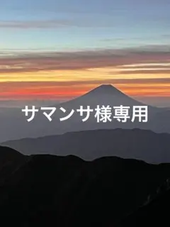 Item thumbnail for item 69029ae0-9c09-4a9f-88c9-385636e7ced3