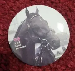 非売品　京都競馬場　競走馬コラボドリンク　凱旋門賞Ver　キセキ