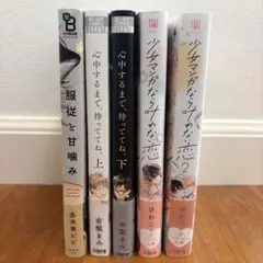 BL小説新刊悪辣オメガシリーズ 滝沢晴奈良千春 コミコミ2冊同時購入