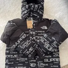 シュプリーム ノースフェイス COLDWORKS DOWN PARKA 新品S黒