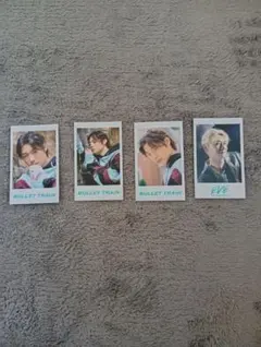 超特急ミニフォト アロハ