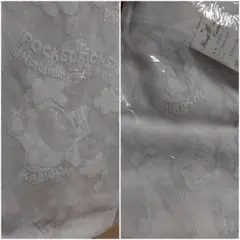 新品未使用　ポケモン レースカーテン 100×133 2枚組のサムネイル