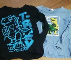 H&M ・ブルーマート長袖Tシャツ 2枚セット 122/128cm 恐竜プリント