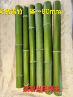 天然竹　青竹　工作用　工作素材等　 長さ80㎝　径～8㎝4本　(値引き中)