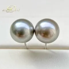 本真珠南洋黒蝶真珠グレー系9.9㍉s925直結ピアスBL928