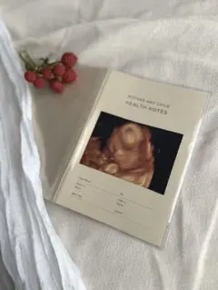 Item thumbnail for item d696ed20-dd84-4552-9da4-01eaf1d54f0d