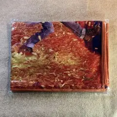 Item thumbnail for item 51bd733e-6dad-40ab-b894-ba9756fe2015