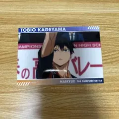 劇場版 ハイキュー!! ゴミ捨て場の決戦展 トレーディングスナップカード