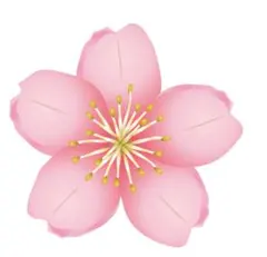 ニューバランスNew Balance （3P）ソックス　ブラック