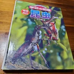 Item thumbnail for item 2c392877-e6f0-424d-940e-4de76f72894a