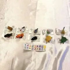 Item thumbnail for item 529475d7-c618-41b3-9dda-375e0c77c5e0