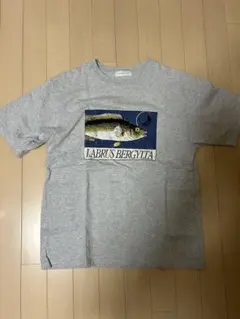 チャオパニックティピー　LABRUS BERGYLTA グラフィック Tシャツ