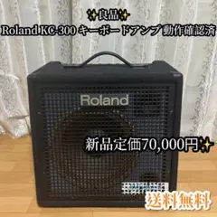 2026年最新】ROLAND KC-110の人気アイテム - メルカリ