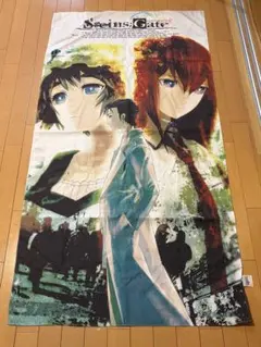 超特大!! シュタインズ・ゲート タペストリー - メルカリ
