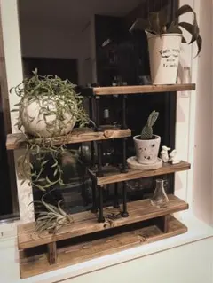 【植物育成棚】IKEAラック×GEXパワーX 3基搭載（アガベ・塊根植物用） 植物育成棚】IKEAラック×GEXパワーX 3基搭載（アガベ・塊根植物用