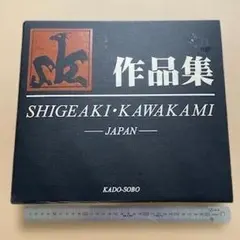 川上重明作品集 1964-2000 川上重明作品集 1964-2000 - メルカリ