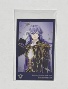 にじさんじ 広島公演 チェキ 星導ショウ