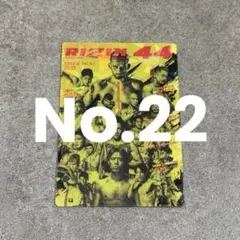 RIZIN ポテトスティック ポスターカードコレクション