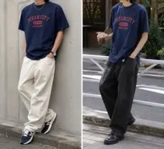 【美品】00s フルーツオブザルーム 100%コットン Tシャツ カレッジロゴ