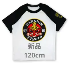 Item thumbnail for item 31af6de9-1788-41cf-895f-ccf5c164da79