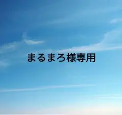 まるまろ様 リクエスト 2点 まとめ商品