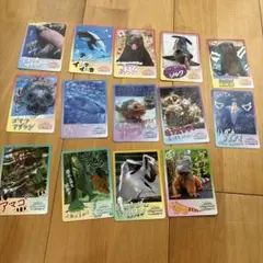 【鳥羽水族館】コレクションカード まとめ売り 14枚セット