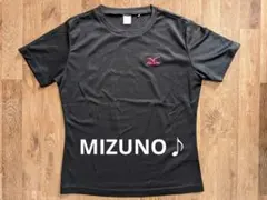 ミズノ メッシュ 半袖 Tシャツ 部活 トレーニング
